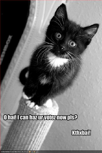 votecat