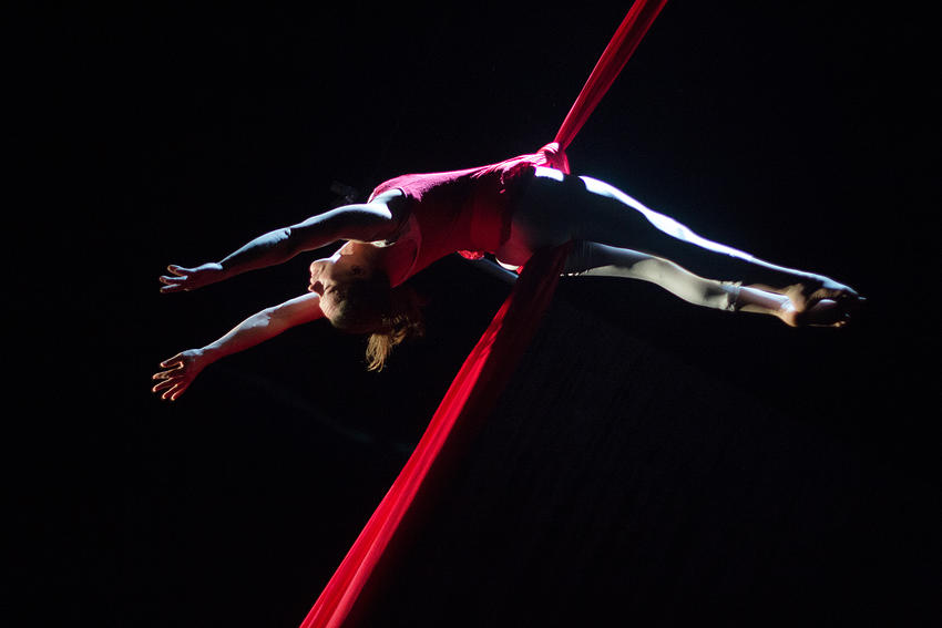 Aerialists Showcase